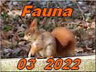 Fauna 03 2022